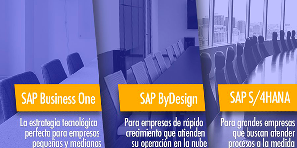 Cómo seleccionar el ERP SAP más apropiado para tu empresa
