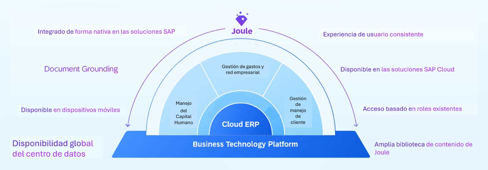 imagen-grafica--de-apoyo-Joule-SAP